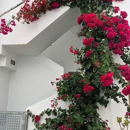 La Ola Apartamento *